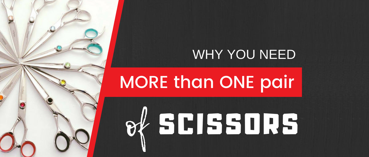 Why You Need More Than Just One Pair of Scissors