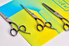 Matsui Colbolt Cutting Scissor (7046959595581)